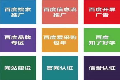 SEM竞价优化技巧：案例解析提升广告投放效果